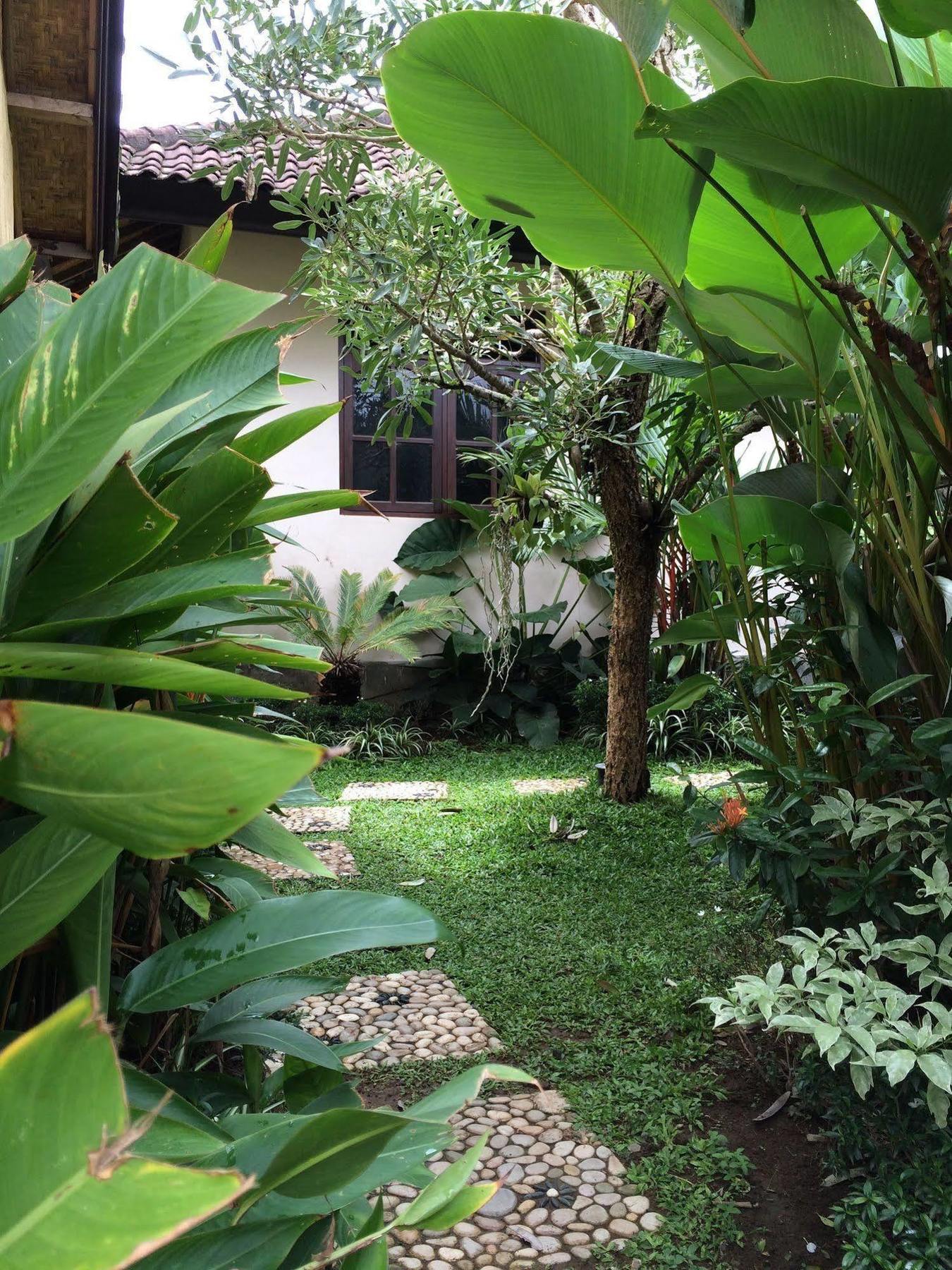 Uma Dewi Guest House Ubud Buitenkant foto